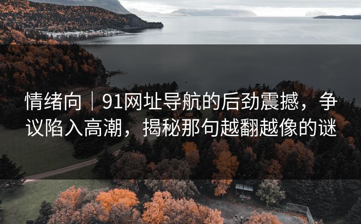 情绪向｜91网址导航的后劲震撼，争议陷入高潮，揭秘那句越翻越像的谜